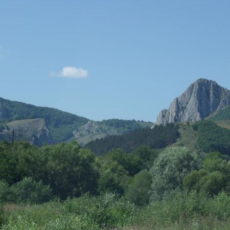 Studiouri Valisoara Exterior photo