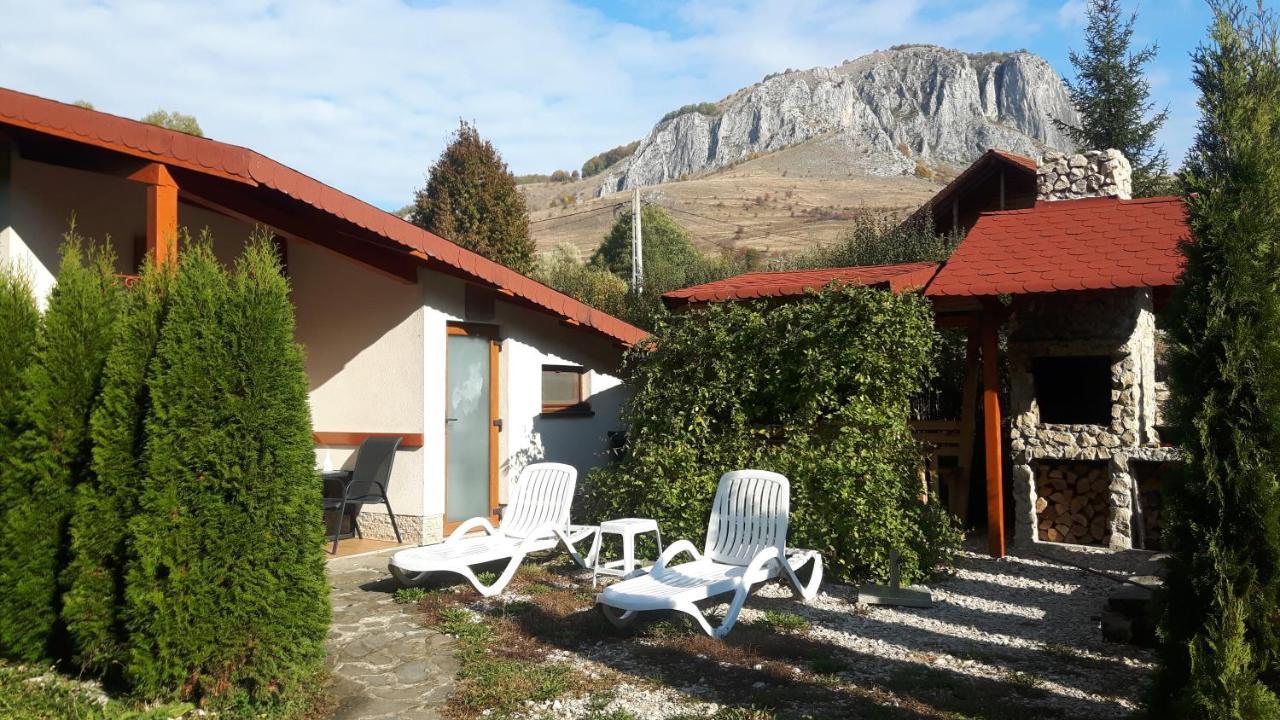 Studiouri Valisoara Exterior photo