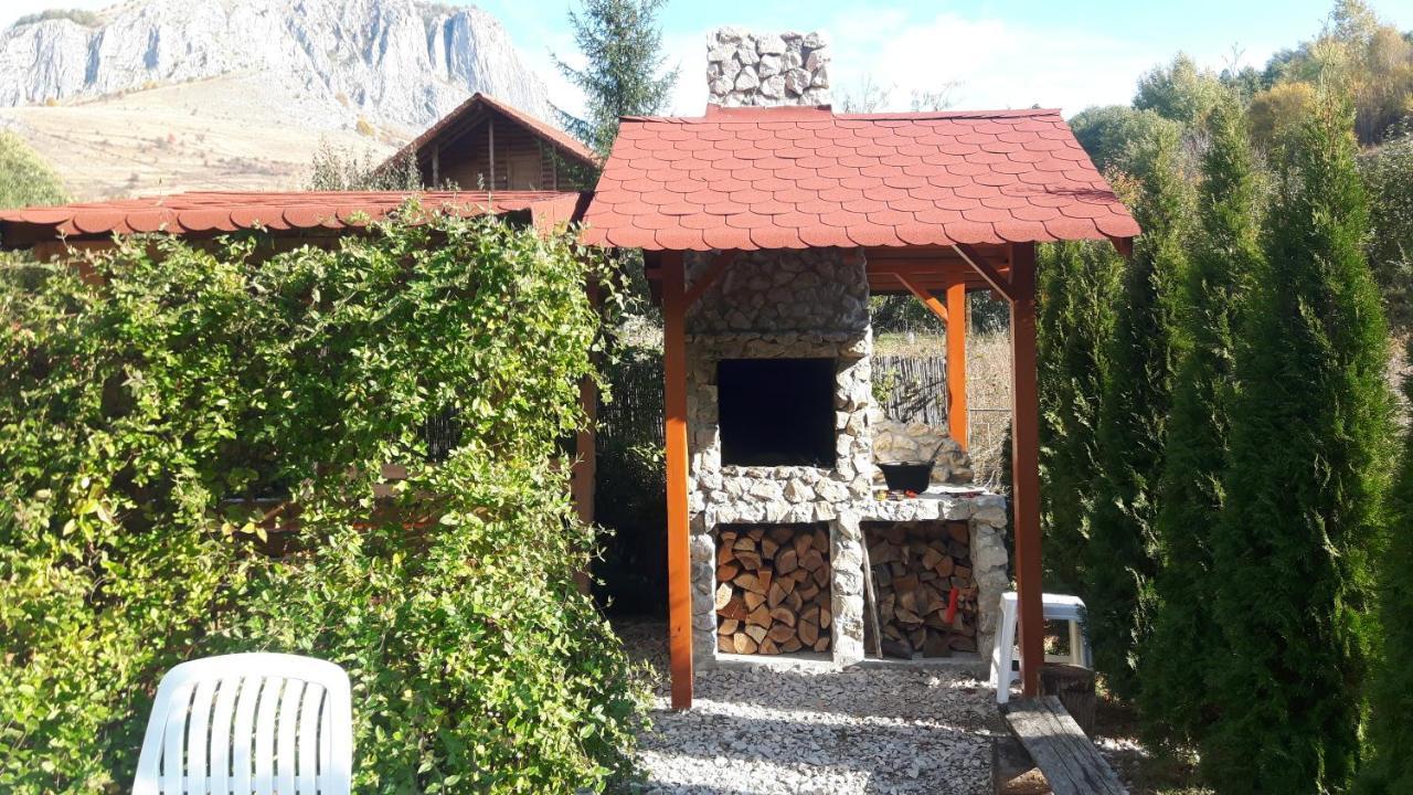 Studiouri Valisoara Exterior photo