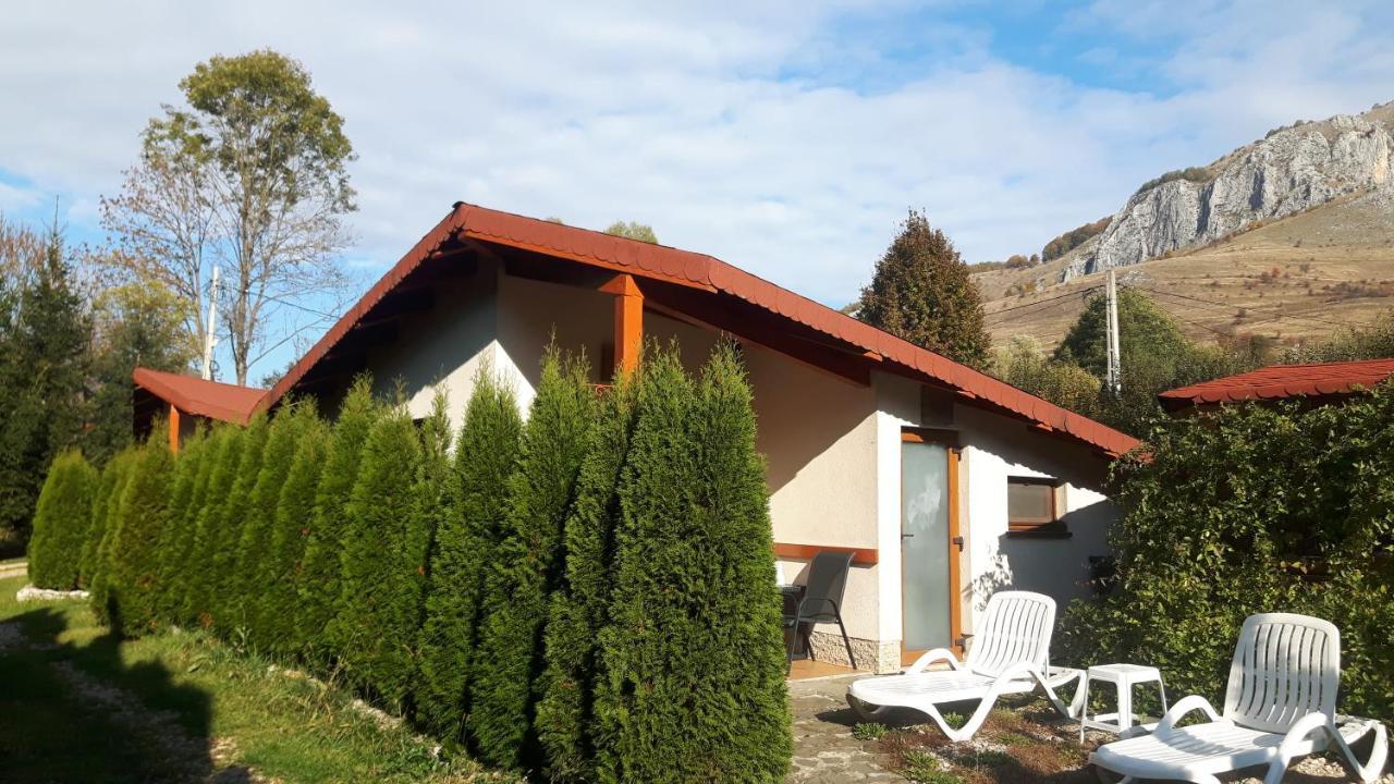 Studiouri Valisoara Exterior photo