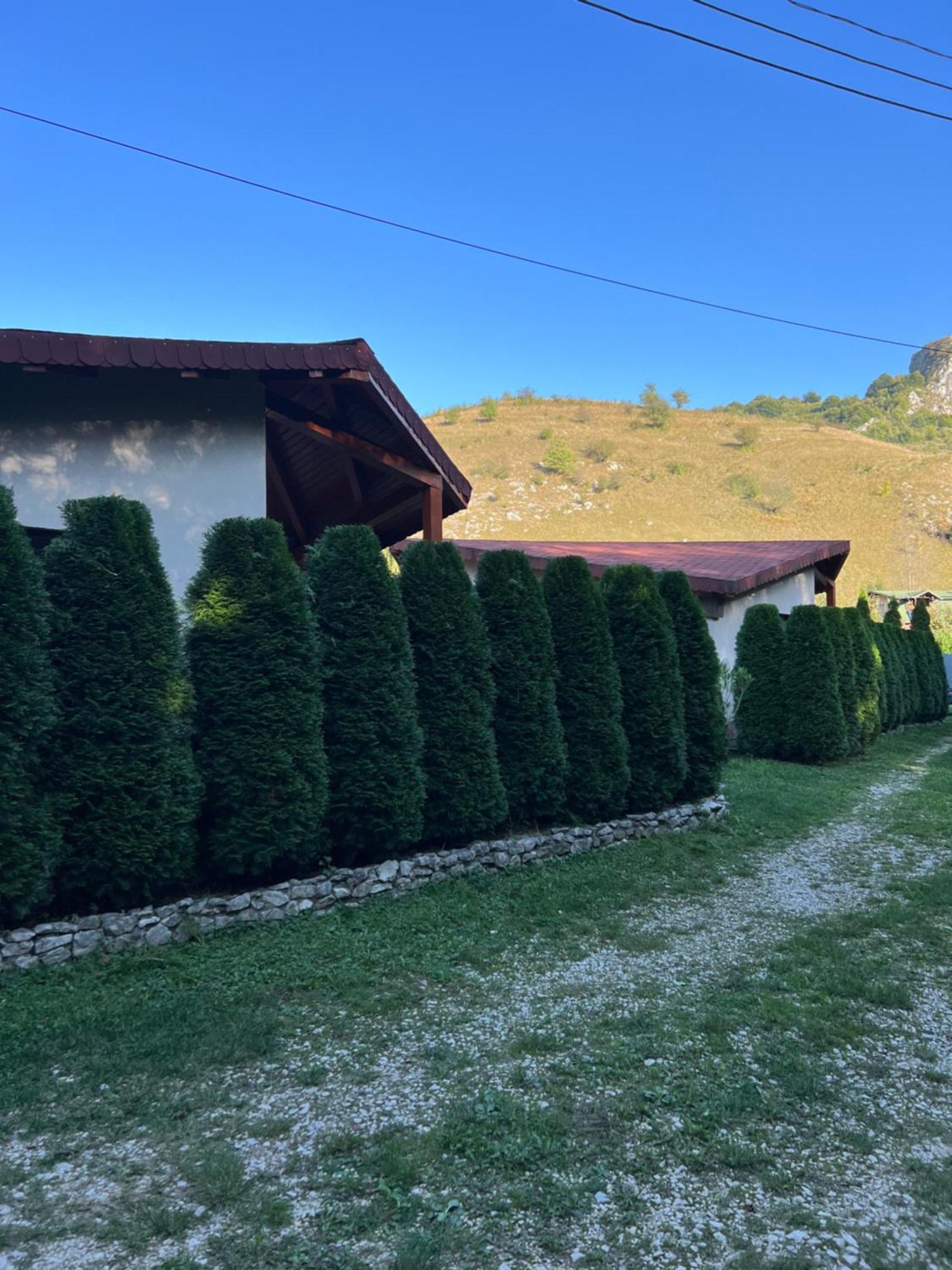 Studiouri Valisoara Exterior photo