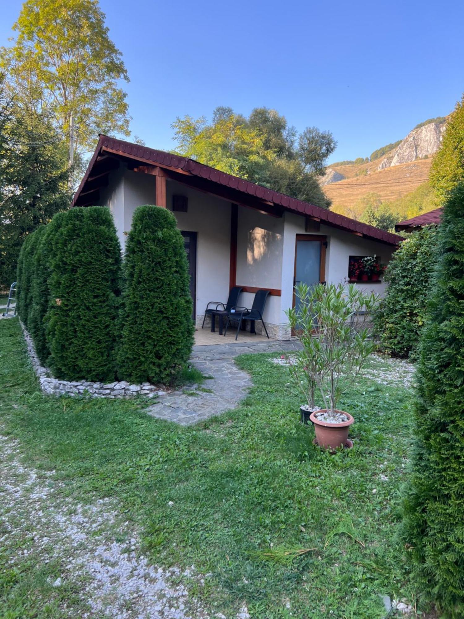 Studiouri Valisoara Exterior photo