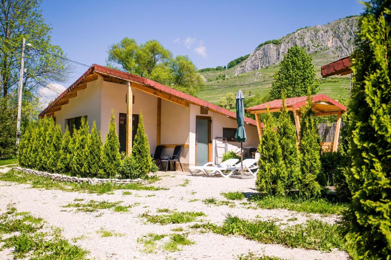 Studiouri Valisoara Exterior photo