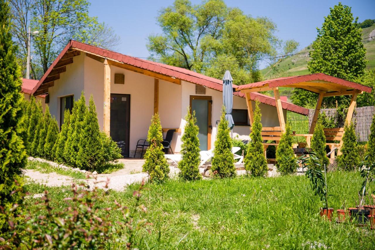 Studiouri Valisoara Exterior photo