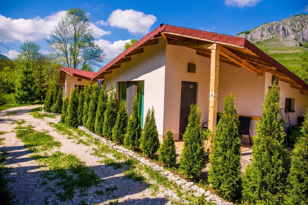 Studiouri Valisoara Exterior photo