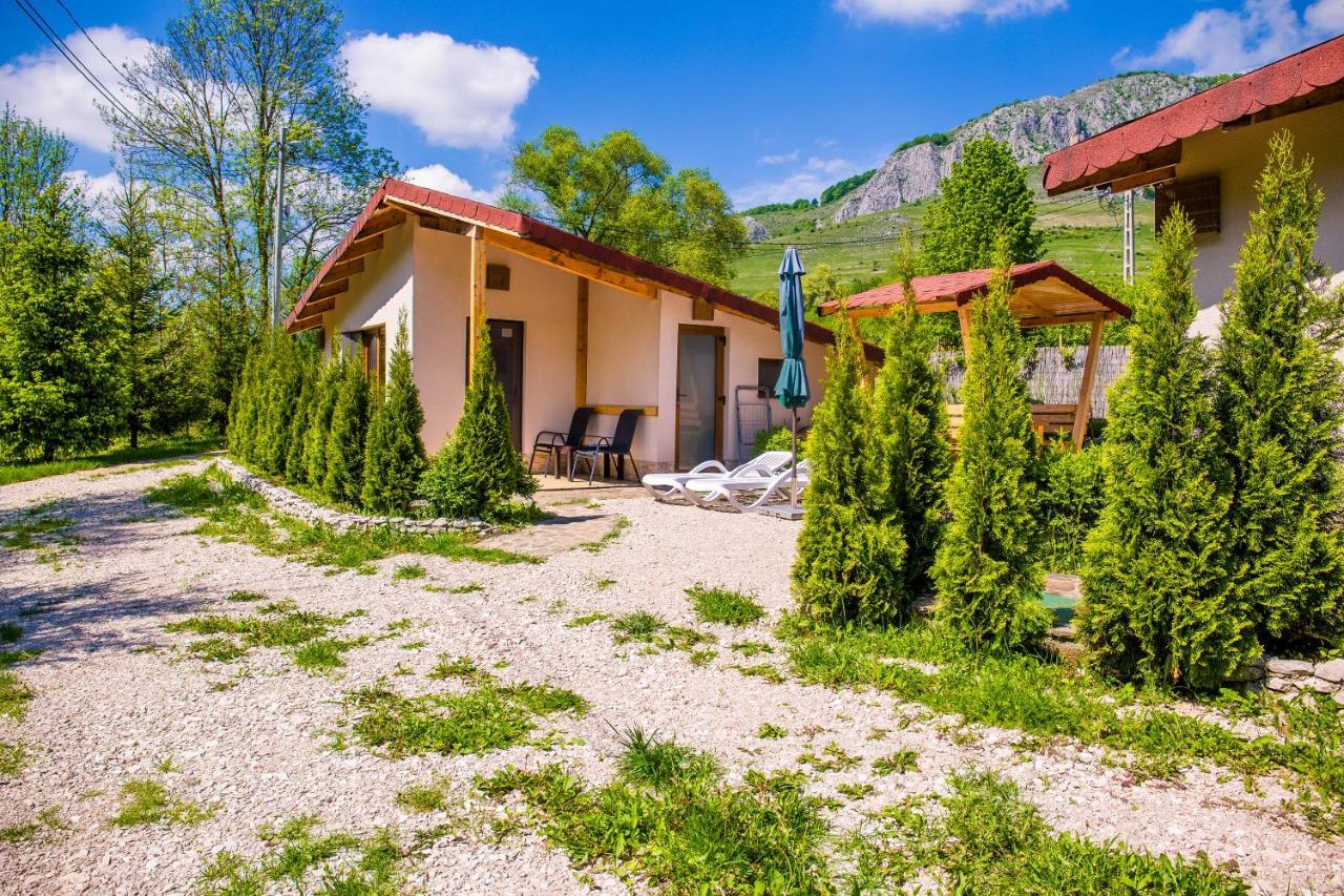 Studiouri Valisoara Exterior photo