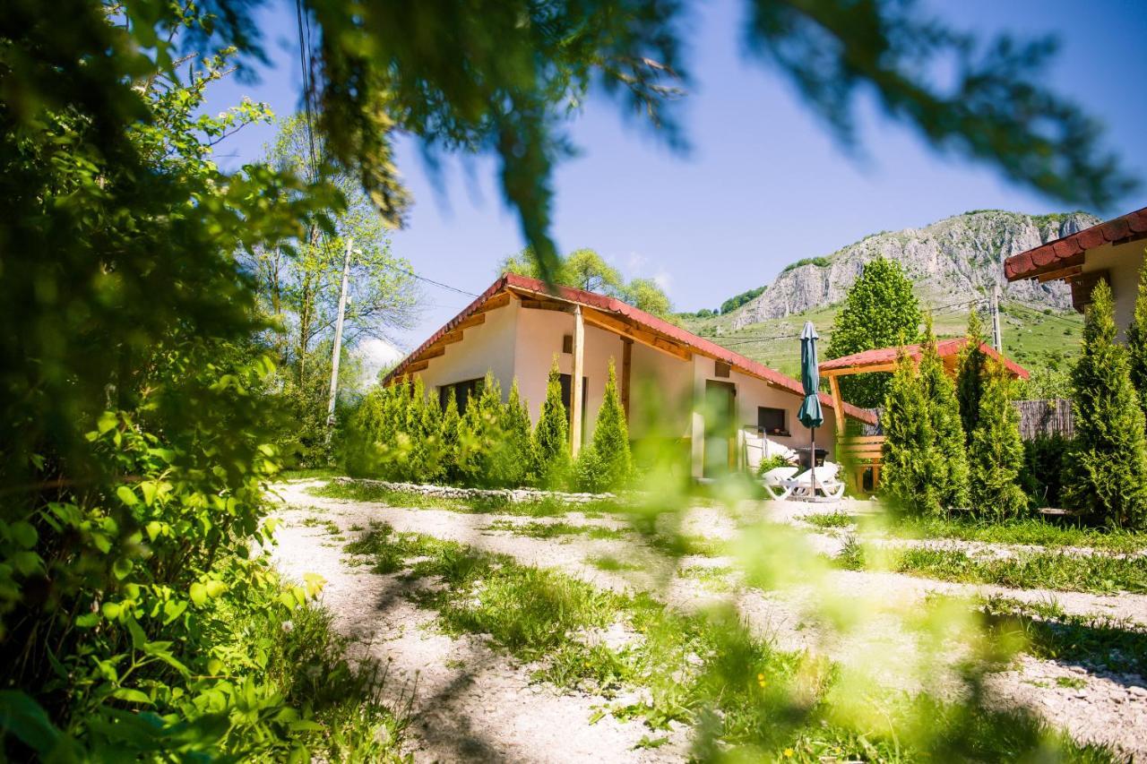 Studiouri Valisoara Exterior photo